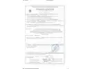 Сертификат: Макет гранаты РГО новодел (001841)