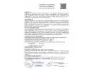 Сертификат: Пневматический пистолет Retay Borner PM49 4,5 мм (Турция)