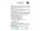 Сертификат: Пневматический пистолет Borner TT Blowback 4,5 мм