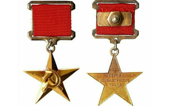 Герой труда россии как выглядит