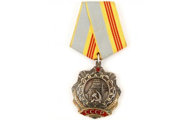 Орден "Трудовая Слава" 3 степени. С рубля. Копия. на Мешке (изображение 1)