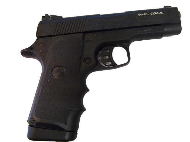 1)Gamo V3