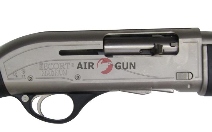 Ps Escorts