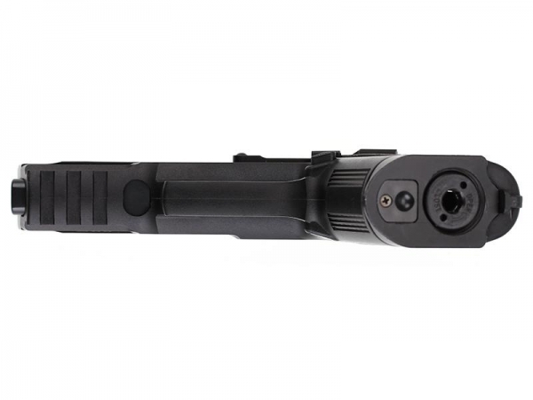 6) Swiss Arms SIG SP2022 Dual tone