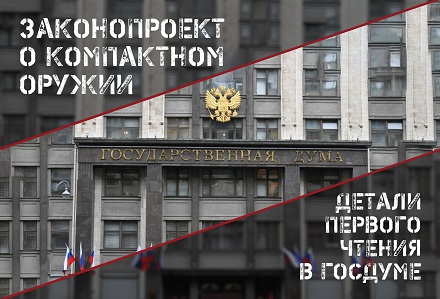 Госдума в первом чтении приняла законопроект о продаже компактного оружия