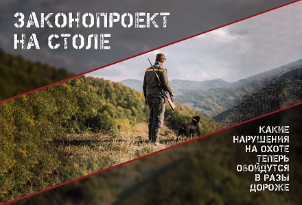 Когда нарушение правил охоты будет караться строже?