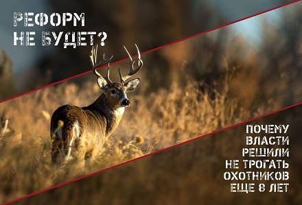 Правила охоты останутся без изменений до 2032 года