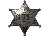 Значок шерифа (DE-113-NQ)