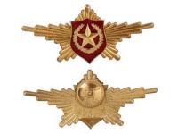 Знак Рота Почетного Караула Общевойсковой (оригинал Россия)