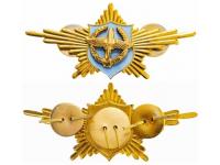 Знак Рота Почетного Караула ВВС (Россия)