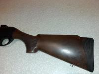  Benelli Argo-E 9.3х62
