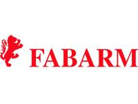 Пружина  Fabarm  для рычага запирания STL VS Sporting P-024
