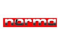 Патрон 6x70 R Nosler BST 5,8 Norma (в пачке 20 штук, цена 1 патрона)