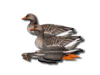 Комплект чучел гусей NRA FUD Greylag (Серый)