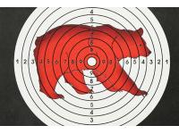 Мишень Remington Медведь цветная вид №2
