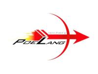 Очки Poelang (PO-GL) Очки Poelang (PO-GL)