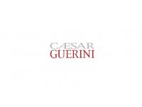 Приклад для Caesar Guerini C.G. Invictus Sporting LH 