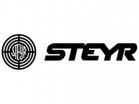 Регулировочный винт спускового крючка для Steyr Arms (2600030010)