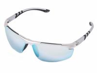 Очки Gargoyles Assault (серебряная оправа) Очки Gargoyles Assault (серебряная оправа)