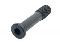 Винт ложевой задний для Baikal 145 Лось, ИЖ-1625 (1-4) шляпка винта Винт ложевой задний для Baikal 145 Лось, ИЖ-1625 (1-4) шляпка винта