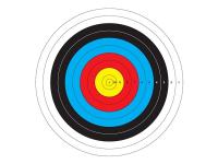 Мишень Centershot CS40 40 cм