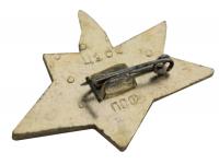 Значок Вечный огонь вид №1