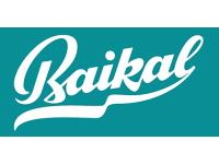 Винт шарнира Baikal Иж-18М 20-19 для МР-18 (прямой шлиц)