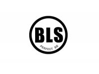 Шары для страйкбола BLS 1BA-PLA40-NB 0,40 гр белые (1000 штук)