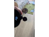 Тепляк. Тепловизионный прицел pard SA32-25