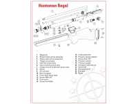Пневматическая винтовка Daystate Huntsman Regal 4,5 мм (дерево)