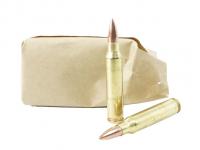 Патрон 5,56x45 (.223 Rem) FMJ 4,0 латунированный БПЗ (в пачке 20 штук, цена 1 патрона) вид №2