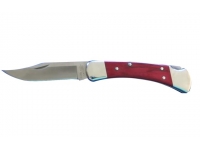 Нож Buck Folding Hunter (B0110CWSR)