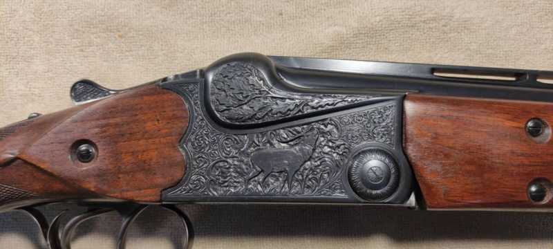 30882371_27381.jpg