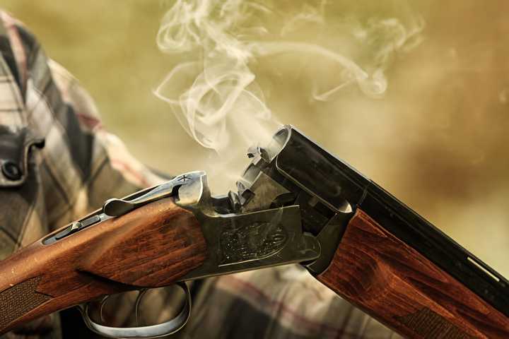 Без названия (4).png