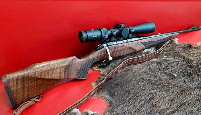 Лось 145 калибра 308 Win.jpg