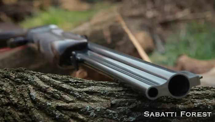 Sabatti Forest.jpg