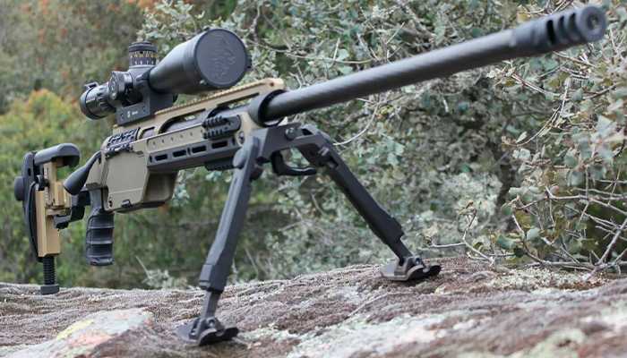 Steyr Mannlicher калибра 338 Lapua.jpg
