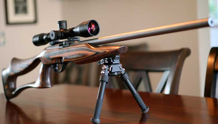 Remington 597.jpg