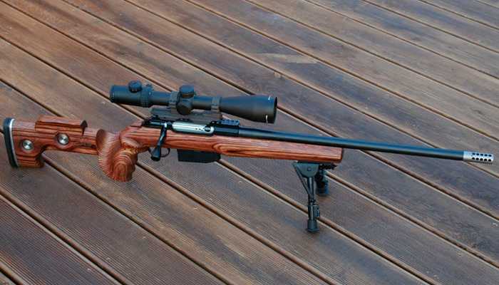 Varmint.jpg