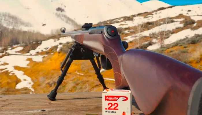 CZ 457 калибра 22 WMR.jpg
