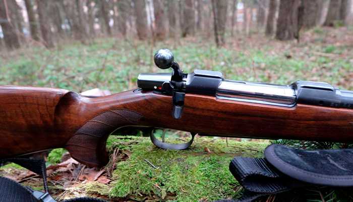 CZ 550 калибра 30-06 Sprg.jpg