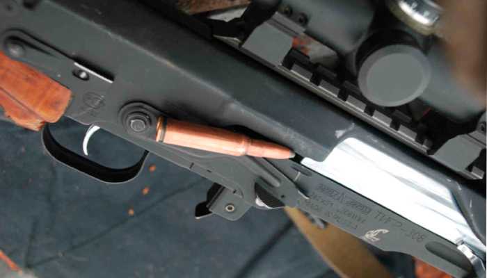 Тигр калибра 308 Win.jpg