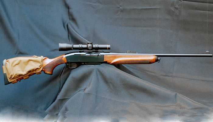 Remington 750.jpg