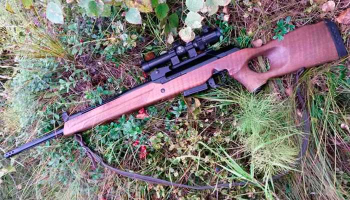 Вепрь СОК-95М.jpg