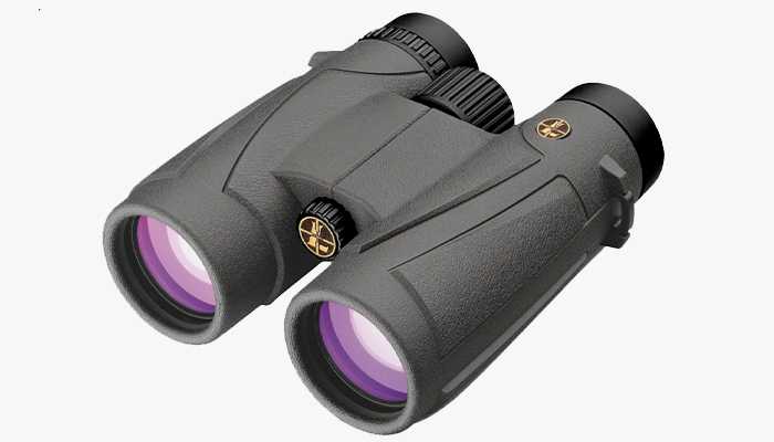 Бинокли Leupold BX-1.jpg
