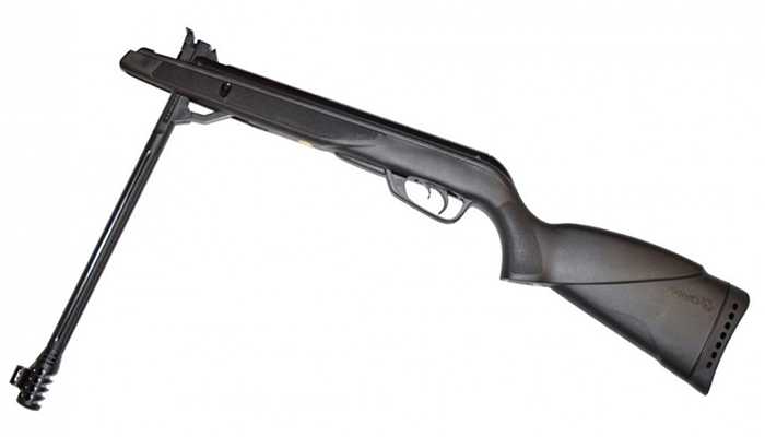 Пневматические винтовки Gamo Black Bear.jpg