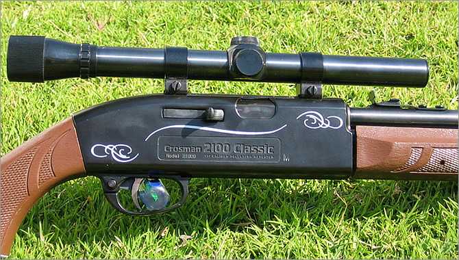 3)Crosman 2100 B