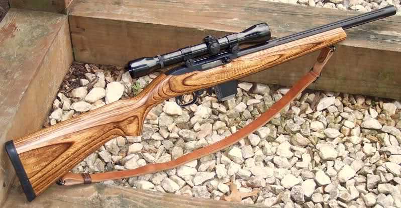 2)Ruger 10/22