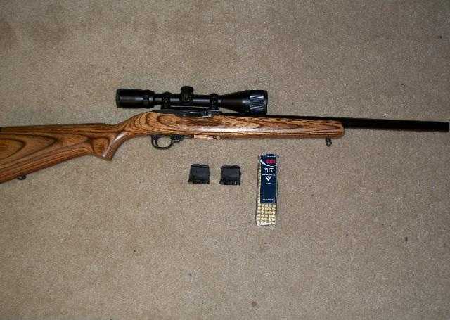 3)Ruger 10/22