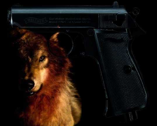 2)история о том как я стал пневмолюбом и как весело покупал свой вальтер